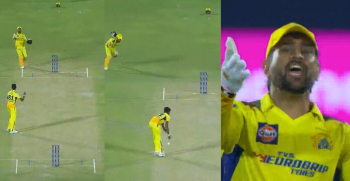 Dhoni Dhoni