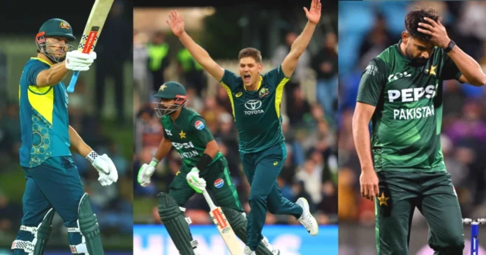 Stoinis Stoinis
