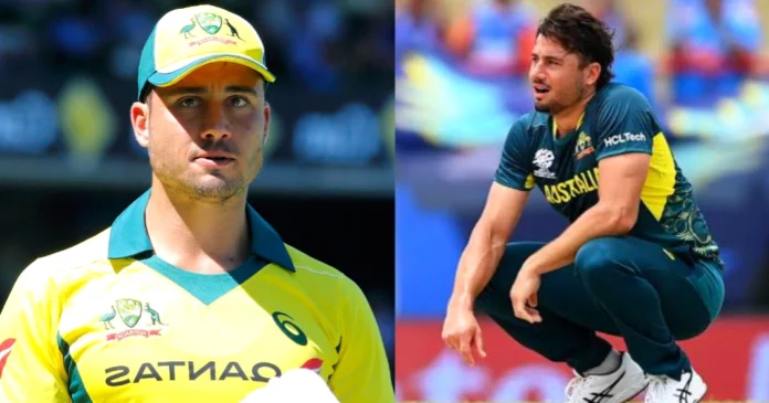 Stoinis Stoinis
