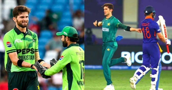 Shaheen Shaheen